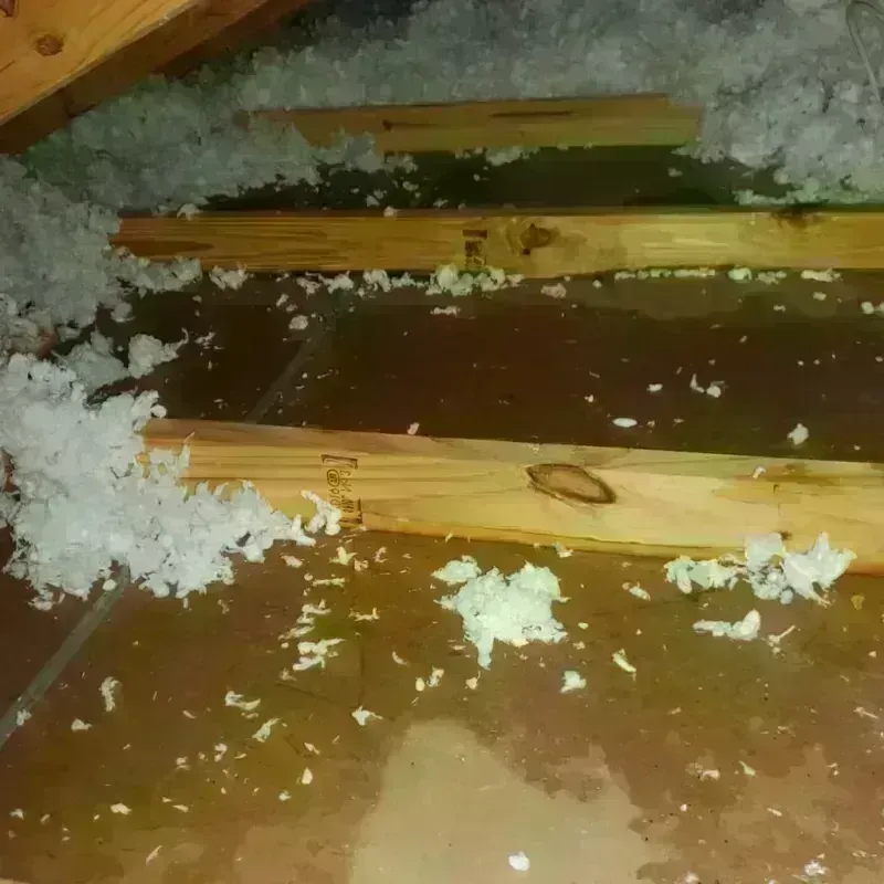 Best Attic Water Damage Service in West Crossett, AR